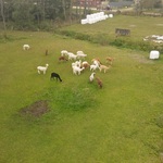 DJI_0713.jpg
