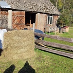 IMG_20221006_094727.jpg