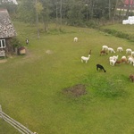 DJI_0714.jpg