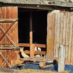 IMG_20221006_094842.jpg