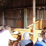 IMG_20221006_095400.jpg