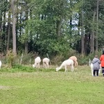 IMG_20221006_115046.jpg