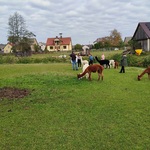 IMG_20221006_115038.jpg