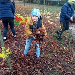 IMG_20221027_095936.jpg
