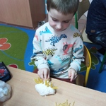 IMG_20221117_092518.jpg