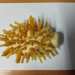 IMG_20221117_094039.jpg