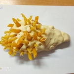 IMG_20221117_094045.jpg