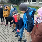 IMG_20221117_105850.jpg