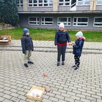 IMG_20221116_134449.jpg