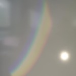 347110583_725914269311104_2066544387383526444_n.jpg