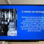91.jpg