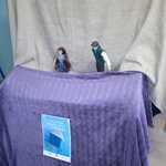 IMG-20231201-WA0007.jpg