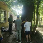 IMG_20240528_090649.jpg