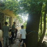 IMG_20240528_090707.jpg
