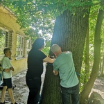 IMG_20240528_090901.jpg