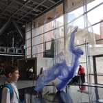 IMG_20240607_132848.jpg