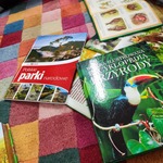 6474220b-d69a-4d36-88d9-6dd9e7a4b5f8.jpg