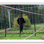 Park JurajskiWycieczka do Parku Jurajskiego-83.jpg