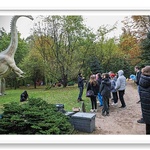 Park JurajskiWycieczka do Parku Jurajskiego-19.jpg