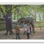 Park JurajskiWycieczka do Parku Jurajskiego-17.jpg