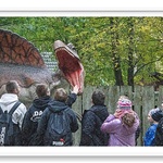 Park JurajskiWycieczka do Parku Jurajskiego-5.jpg