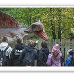 Park JurajskiWycieczka do Parku Jurajskiego-2.jpg