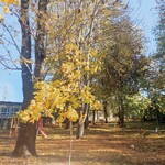 thumbnail_1000062973.jpg