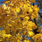 thumbnail_IMG_20251021_140010.jpg