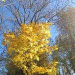 thumbnail_IMG_20251021_135842.jpg
