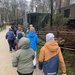 IMG_2206.jpeg
