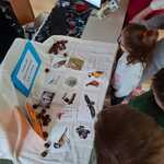 IMG-20251118-WA0022.jpg