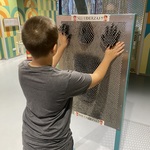 IMG_2371.jpeg