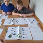 IMG-20260521-WA0007.jpg