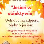 Orange Cute Organic Illustrative Fall Harvest Pumpkin Patch Poster.jpg